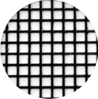 2/10" Square